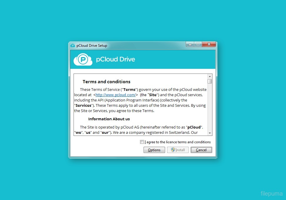 pCloud Drive (32bit) 4.1.10 Screen Records 2