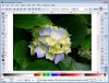 Inkscape (32bit)