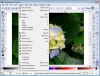 Inkscape (32bit)