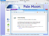 Pale Moon (64bit)